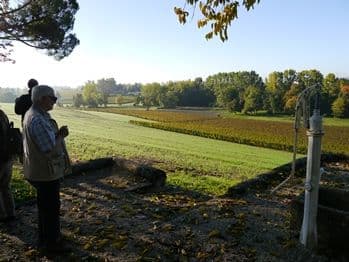 Vorschaubild für den Artikel Reise nach Bordeaux, der Hauptstadt des Weines 2016